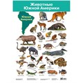 Плакат Животные Южной Америки 2882 612-913