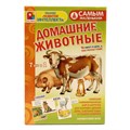 Игра Самым маленьким.Домашние животные С-974 610-051
