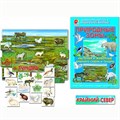 Игра Природные зоны.Крайний север 512-443