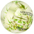 Мяч Волейбол №5 280 гр. 141V-833 353-635