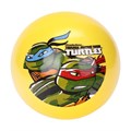 Мяч 23см черепашки-ниндзя с наклейкой, в сетке AD-9(TMNT) 353-654