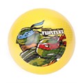 Мяч 23см черепашки-ниндзя с наклейкой, в сетке AD-9(TMNT) 353-654