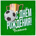 Салфетка С ДР Футбол 33см 12шт 1502-5269 462-810