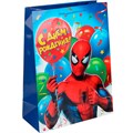 Пакет Чудо праздник глянцевый l Супергерой PL-130517-SP 660-445