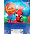 Пакет Чудо праздник глянцевый l Супергерой PL-130517-SP 660-445