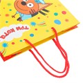 Пакет Чудо праздник матовый ml 22*31*10 см Три Кота PML-123132-TC 561-755