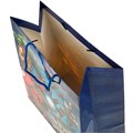 Пакет Чудо праздник 26*32*14 см PL-97426-SH /288/ 462-655