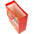 Пакет Чудо праздник МАТОВЫЙ ml 22*31*10 см PML-109942-C 462-716