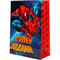 Пакет Чудо праздник ml 22*31*10 см PML-97449-SM 462-082