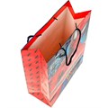 Пакет Чудо праздник ml 22*31*10 см PML-97449-SM 462-082