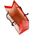 Пакет Чудо праздник 26*32*14 см PL-97450-SM /288/ 461-987