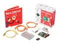 Образовательный набор Малина v4 (4 ГБ) AMP-S056 7893