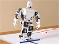 Набор для изучения систем управления робототехническими комплексами и андроидными роботами "Серёжа ИН Про". Полный комплект на Raspbery Pi 9294