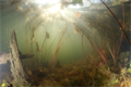 Робот-конструктор Океаника «Кит» (набор с внешним питанием от сети) ✅ 6129
