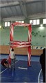 Ворота двойные формата MultiGP PRO ✅ 8425