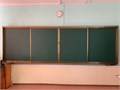 Грибы на поляне (9шт). Счетный материал 1003