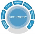 Цифровая лаборатория SenseDisс – Биология и Химия (Biochemistry) ✅ 13243