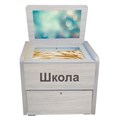 Сундучок психолога-дефектолога «Антошка» для Школы ✅ 1103