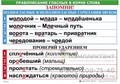 Правописание гласных в корне слова (5табл+32 карт) для начальной школы 50х70 см 1133585477