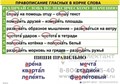 Правописание гласных в корне слова (5табл+32 карт) для начальной школы 50х70 см 1133585477