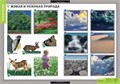 Летние и осенние изменения в природе (13таблиц +32карты) 444507983