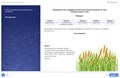 Преподавание в начальных классах. ПМ1. Преподавание по программам начального общего образования 461234686