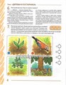 Развиваем связную речь у детей 6-7 лет с ОНР. Альбом 1. Мир растений, Арбекова Н.Е. 1712381788