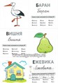 33 карточки с заданием на обороте "Азбука в картинках. Карточки в лапочке",  размер карточки 10х10 см. 01372740357