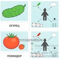 Набор карточек с рисунками "Речевые карточки. Описательные загадки. Овощи" для детей 4-7 лет, Танцюра С.Ю., Сатари В.В., Солдатова Л.Р. 973372027