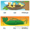 Набор карточек с рисунками "Играем со звуками. Звук [Ц]", Сфера 01161594705