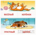 Набор карточек с рисунками "Играем с союзами. И, А, НО", Сфера 02129815423