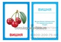 Логопедические карточки "Ш", Вундеркинд с пеленок 0253452707