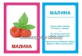Логопедические карточки Л, Л`, Вундеркинд с пеленок 483359959
