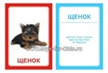 Логопедические карточки "Щ+Х", Вундеркинд с пеленок 409063875