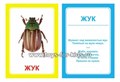 Логопедические карточки "Ж", Вундеркинд с пеленок 01378427290