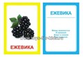 Логопедические карточки "Ж", Вундеркинд с пеленок 01378427290