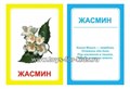 Логопедические карточки "Ж", Вундеркинд с пеленок 01378427290