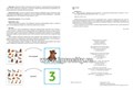 Дидактическое пособие для детей 3–7 лет "Согласование существительных с числительными. Дикие животные", Хомякова Е.Е. 01130629908