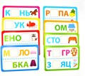 Обучающий набор магнитные буквы с карточками «Весёлые буквы», по методике Монтессори 01075867459