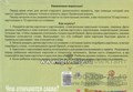 Развивающая игра-лото на квазиомонимы "Чем отличаются слова", Весна-Дизайн, арт. Д-508 791916472