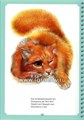Веселая мимическая гимнастика, Н.В.Нищева 2044589456