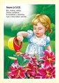 Веселые чистоговорки, В.М. Нищев, Н.В. Нищева, ФГОС 01796077116