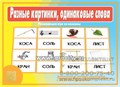 Игра на омонимы "Разные картинки, одинаковые слова", арт. Д-518 1426515328