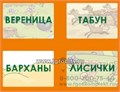 Игровое пособие  "О чем речь? Природа. Из блокнота натуралиста", игротека Татьяны Барчан, арт.6031044 746862786