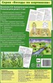 Беседы по картинкам. Грамматические сказки. Развитие речи детей 5-7 лет, Васильева Е.В. 0542767531