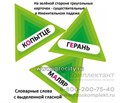 Игровое пособие "Три склонения в упражнениях", игротека Татьяны Барчан, арт.8041145 0999913825