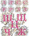 Комплект фигурок для автоматизации 13 сложных звуков [Р][Р’][Л][Л’][С][С’][З][З’][Ш][Щ][Ж][Ц][Ч]  по Марковой 01792726624