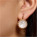 Серьги круглые Каталог >> Бижутерия >> Ювелирная бижутерия коллекция "Дубай", покрытие позолота, вставка: искусственный перламутр, арт.313.586 313.586
