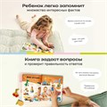 Комплект говорящих книжек BertToys Нажималки: Я и мир вокруг + Русский алфавит FD4143