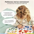 Говорящая книжка BertToys большая нажималка Первые знания FD150